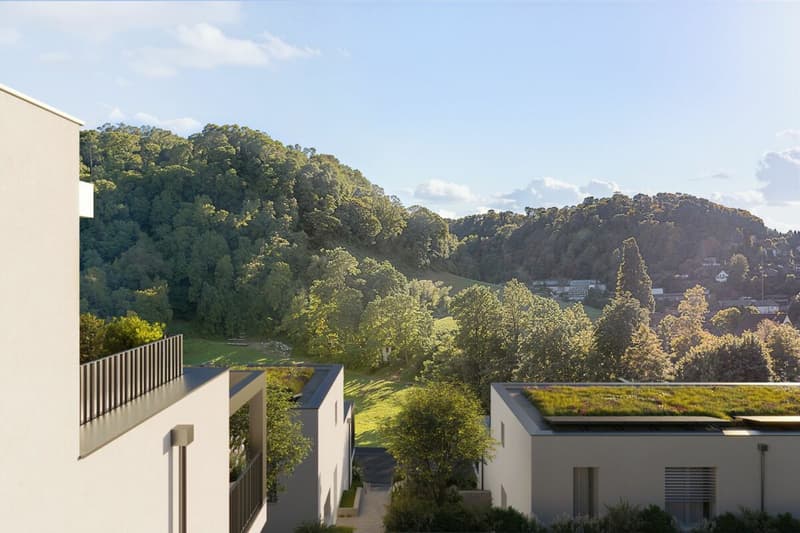 NEUVE CONSTRUCTION : 6 maisons unifamiliales avec diverses commodités (4)
