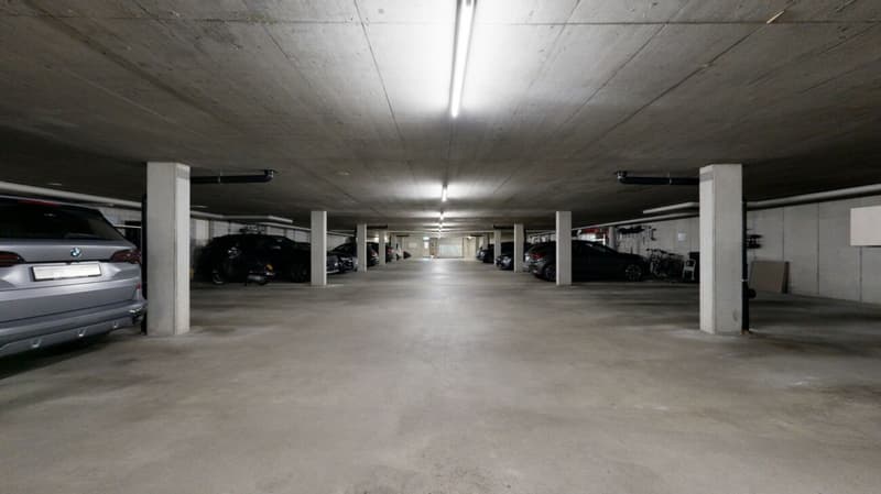 modernes Einfamilienhaus mit zwei Einstellhallenplätzen (15)
