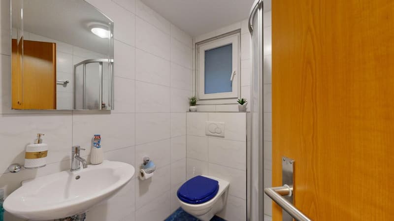 modernes Einfamilienhaus mit zwei Einstellhallenplätzen (11)
