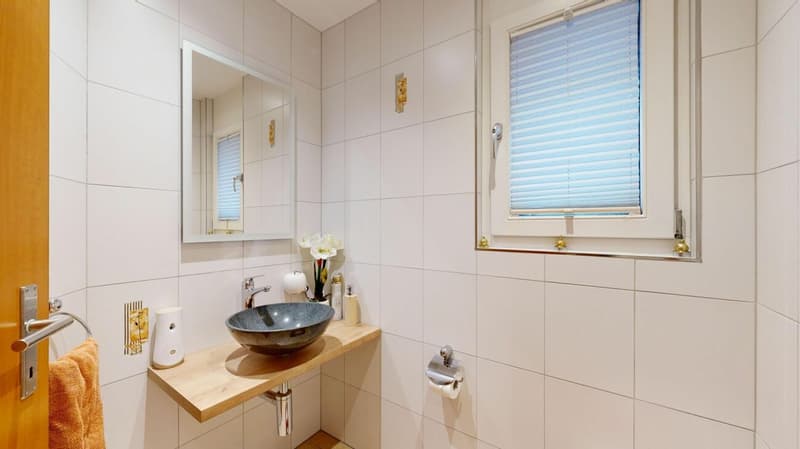 modernes Einfamilienhaus mit zwei Einstellhallenplätzen (5)