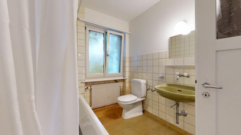 grosszügiges Einfamilienhaus / Bauland (6)