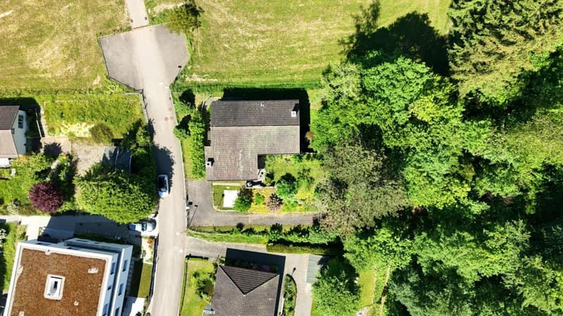 mit grosszügigem Grundstück - Einfamilienhaus an privilegierter Lage (2)