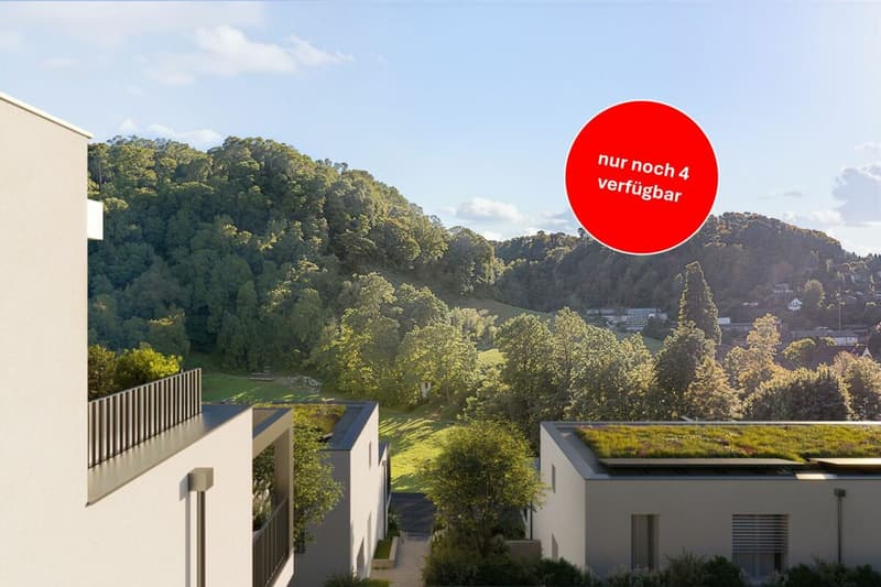 NEUBAU: 6 Einfamilienhäuser mit diversen Annehmlichkeiten (1)