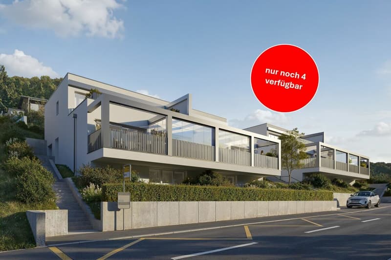 NEUBAU: 6 Einfamilienhäuser mit diversen Annehmlichkeiten (1)