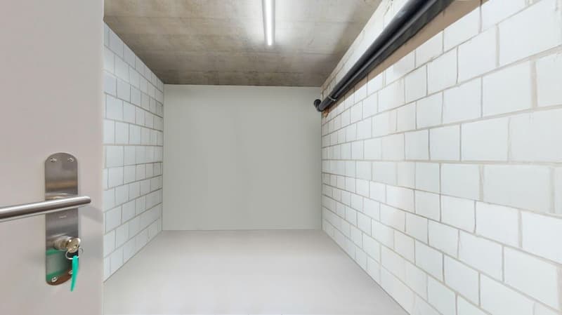 moderne 3.5-Zimmerwohnung mit eigenem Waschturm und Carport (11)
