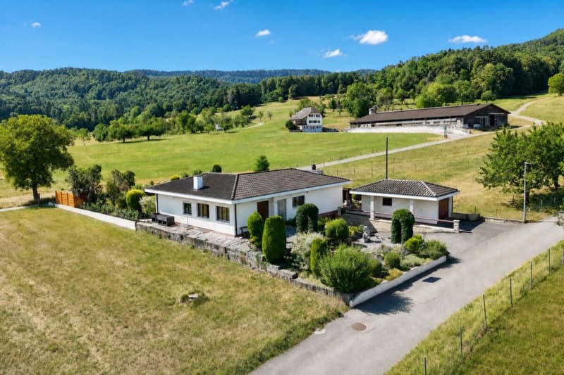 gepflegtes Einfamilienhaus an einmaliger Lage (26)