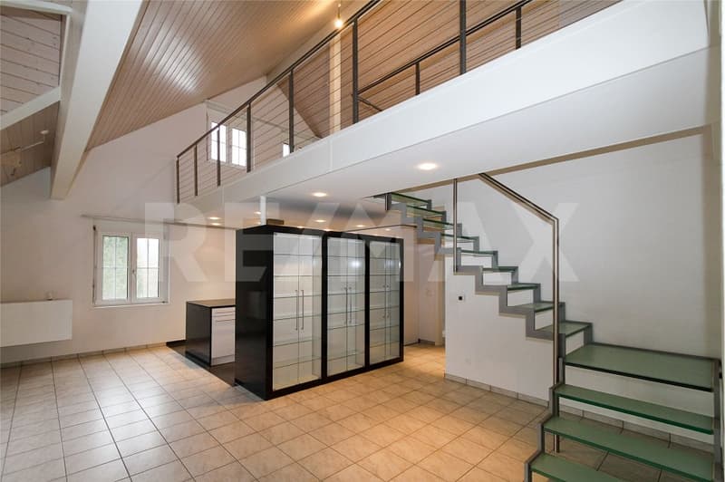 eine mega schöne Maisonette-Wohnung, mit dem Lift nach oben, modern, ruhig, gepflegt (2)