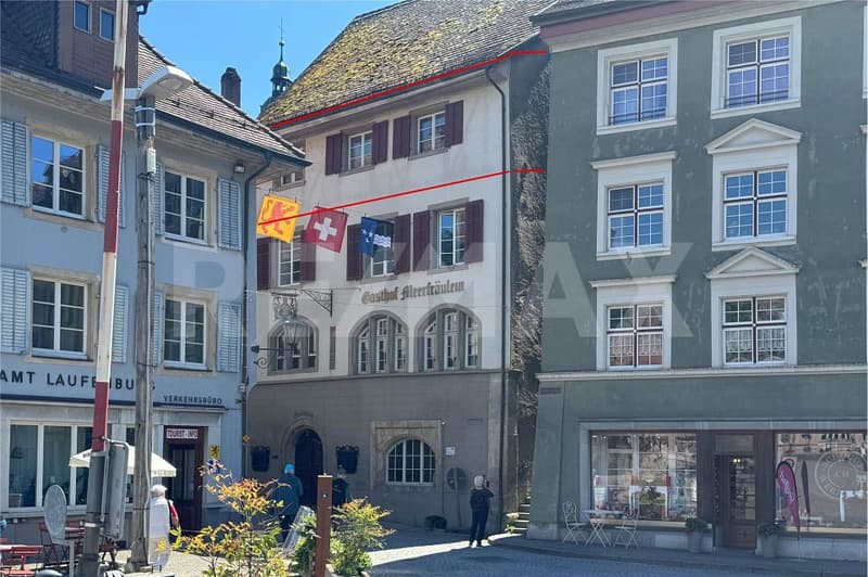 Premier location ! Appartement charmant de 3 pièces avec vue directe sur le Rhin (8)