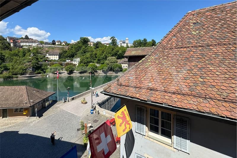 Premier location ! Appartement charmant de 3 pièces avec vue directe sur le Rhin (3)