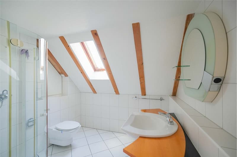 Grosszügiges Wohnen auf über 260 m² (6)