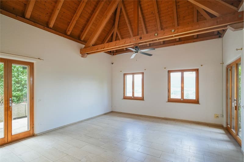 Grosszügiges Wohnen auf über 260 m² (13)