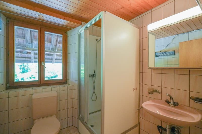 Für Macher und Individualisten: Umbauobjekt mit ca. 1900 m² Land (9)