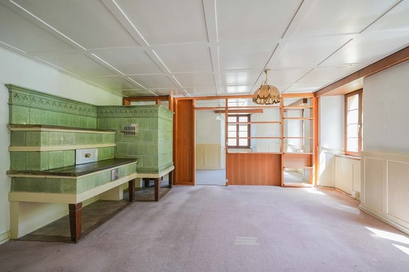 Für Macher und Individualisten: Umbauobjekt mit ca. 1900 m² Land (4)