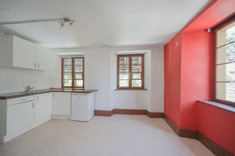 Für Macher und Individualisten: Umbauobjekt mit ca. 1900 m² Land (8)