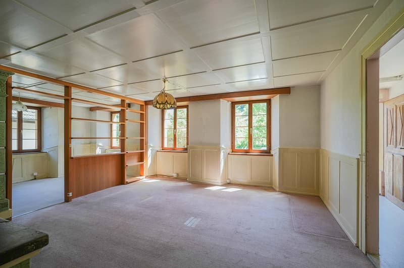 Für Macher und Individualisten: Umbauobjekt mit ca. 1900 m² Land (3)