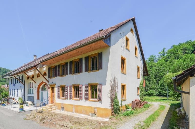 Für Macher und Individualisten: Umbauobjekt mit ca. 1900 m² Land (1)