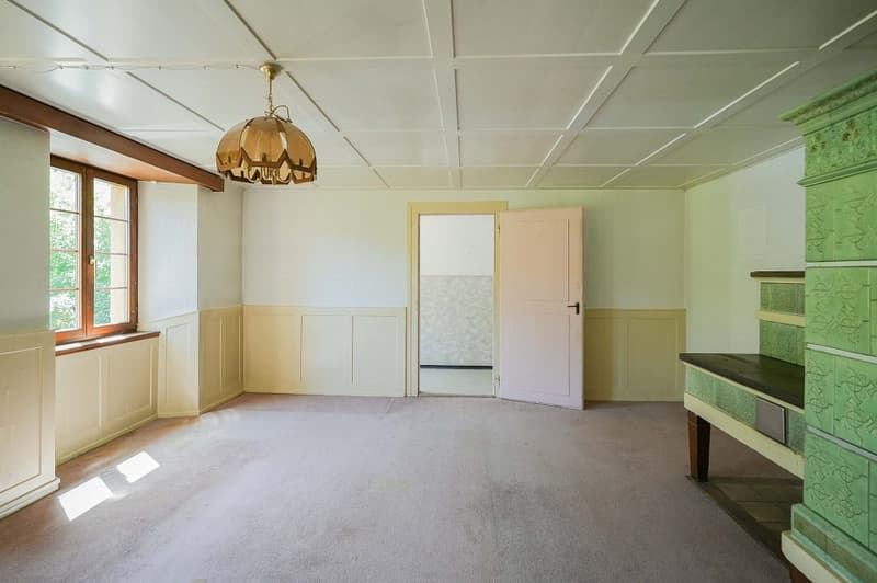 Für Macher und Individualisten: Umbauobjekt mit ca. 1900 m² Land (12)