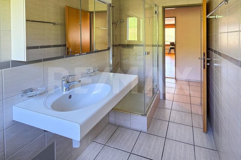 Ihr neues Zuhause  renoviert, sonnig und sofort bezugsbereit (5)