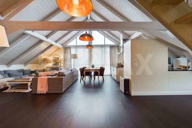 Rarität - Traumwohnung mit grosser Dachterrasse (2)