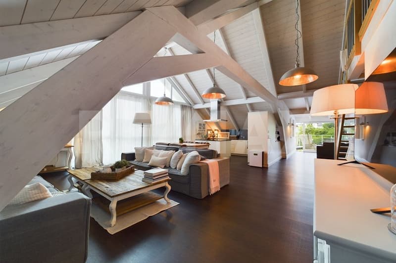 Exklusive Traumwohnung mit grosser Dachterrasse (1)