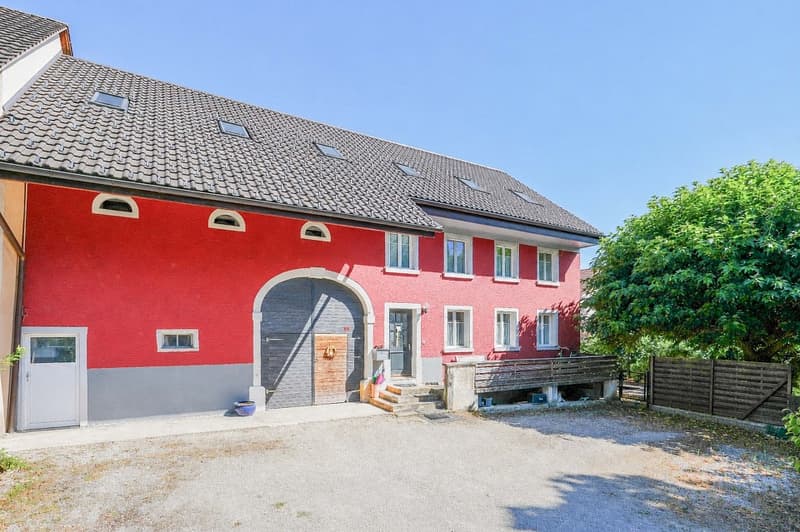 4.5 Zimmer-Maisonette-Wohnung mit riesigem Mehrzweckraum (1)