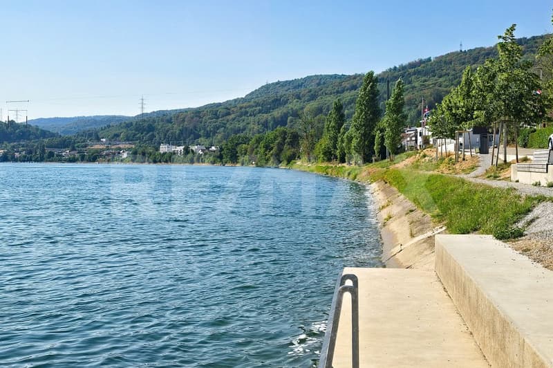 Wohnen am Rhein (2)