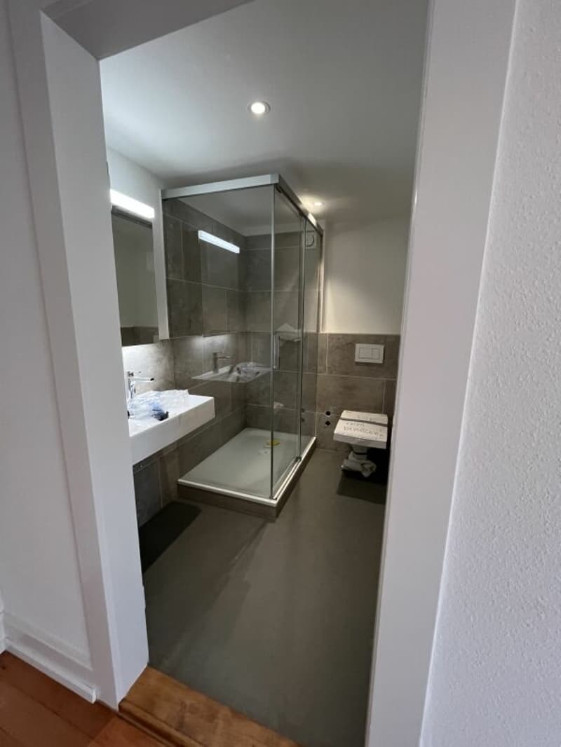 2.5-Zimmerwohnung im Herzen von Meilen (6)