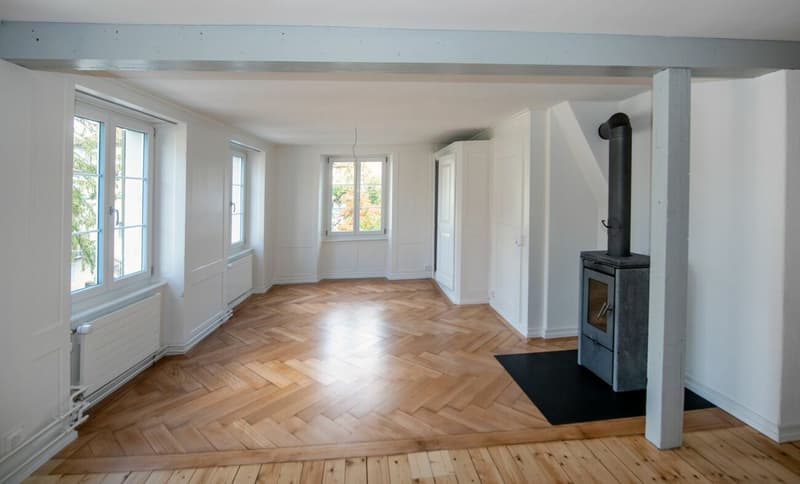 2.5-Zimmerwohnung im Herzen von Meilen (2)