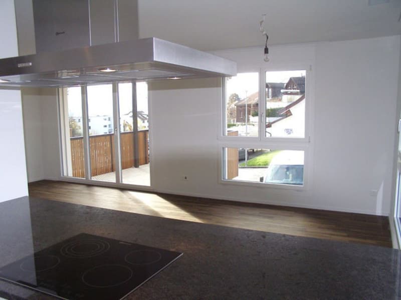 moderne 3.5 Zimmerwohnung zu vermieten! (3)