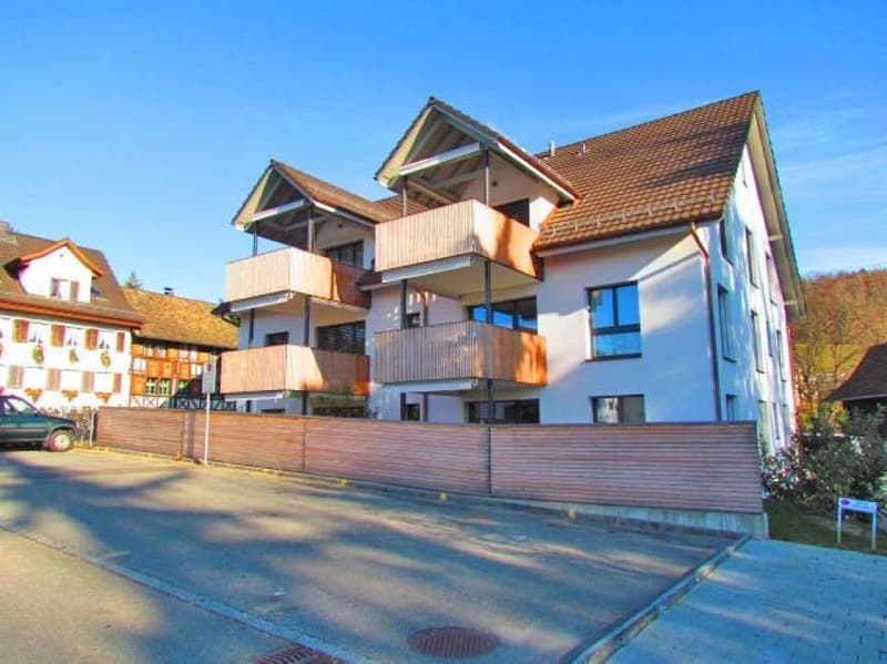 moderne 3.5 Zimmerwohnung zu vermieten! (1)