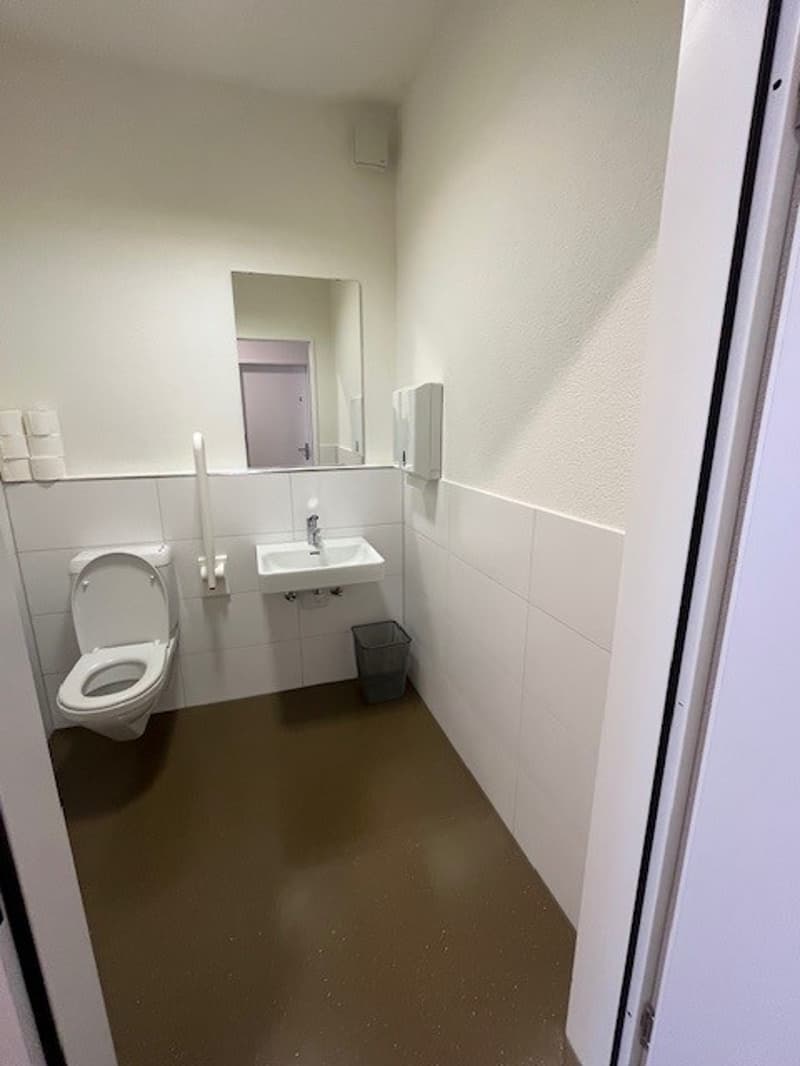 small bathroom, white toilet, white sink, tiled wall, toilet paper holder, handrail, mirror