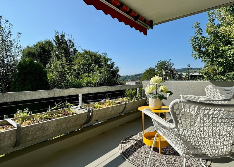 Attraktive 4.5-Zimmer-Wohnung – ideal für Pendler, Eigennutzer und Investoren (10)