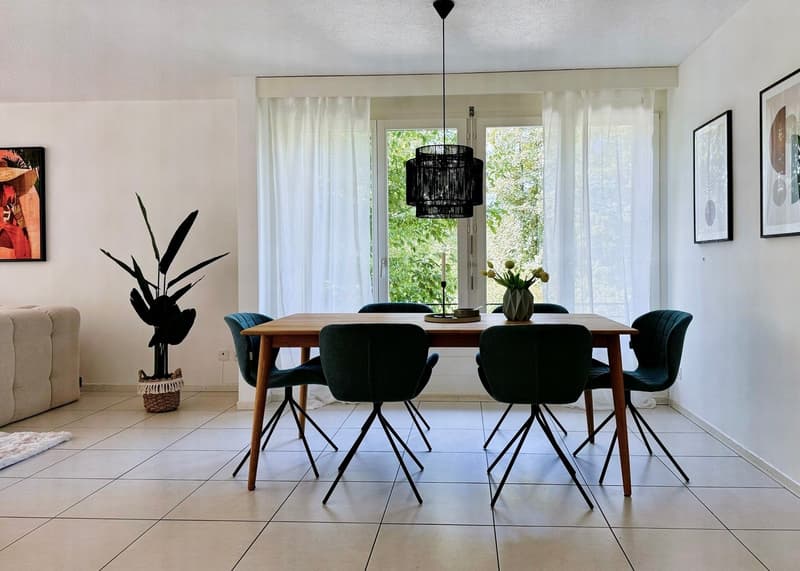 Attraktive 4.5-Zimmer-Wohnung – ideal für Pendler, Eigennutzer und Investoren (4)