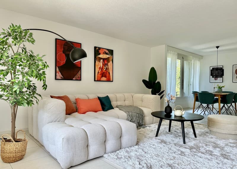 Attraktive 4.5-Zimmer-Wohnung – ideal für Pendler, Eigennutzer und Investoren (5)