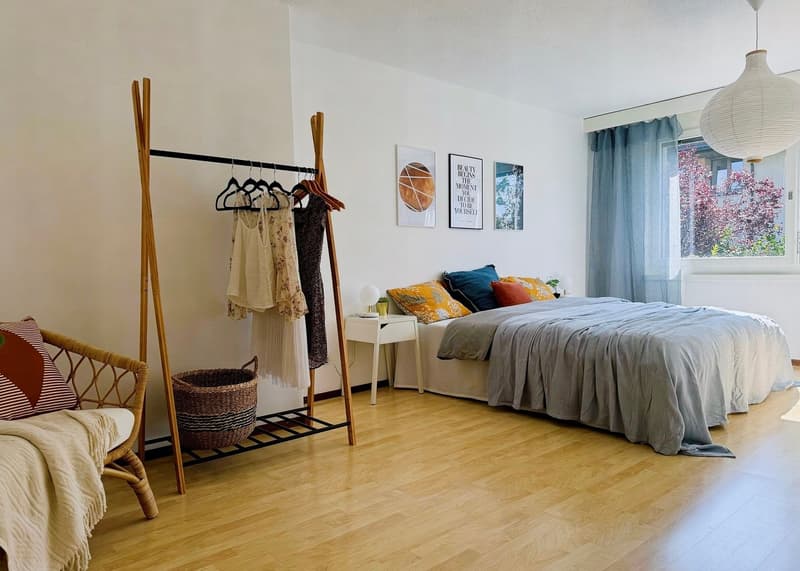Attraktive 4.5-Zimmer-Wohnung – ideal für Pendler, Eigennutzer und Investoren (6)