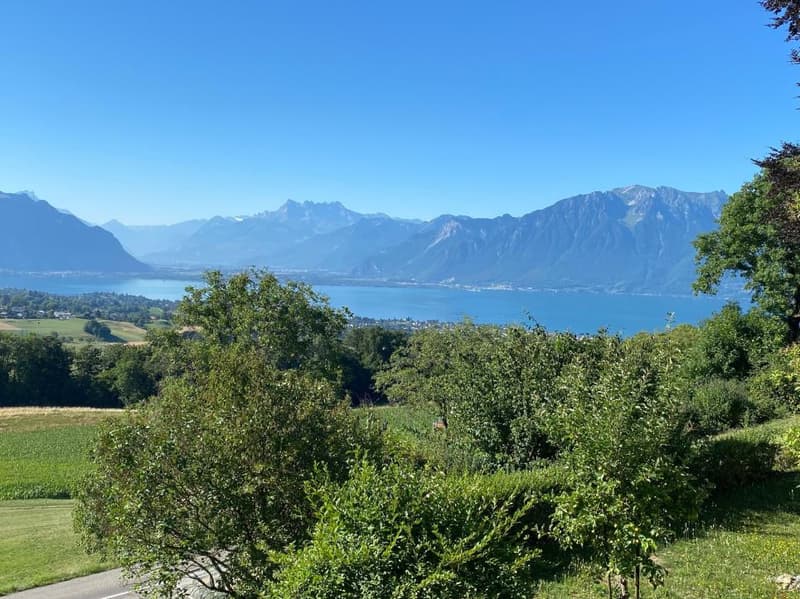 A 5 minutes. Avec magnifique vue sur le lac et les Alpes, villa jumelle de 4,5 pièces plus galerie. (1)