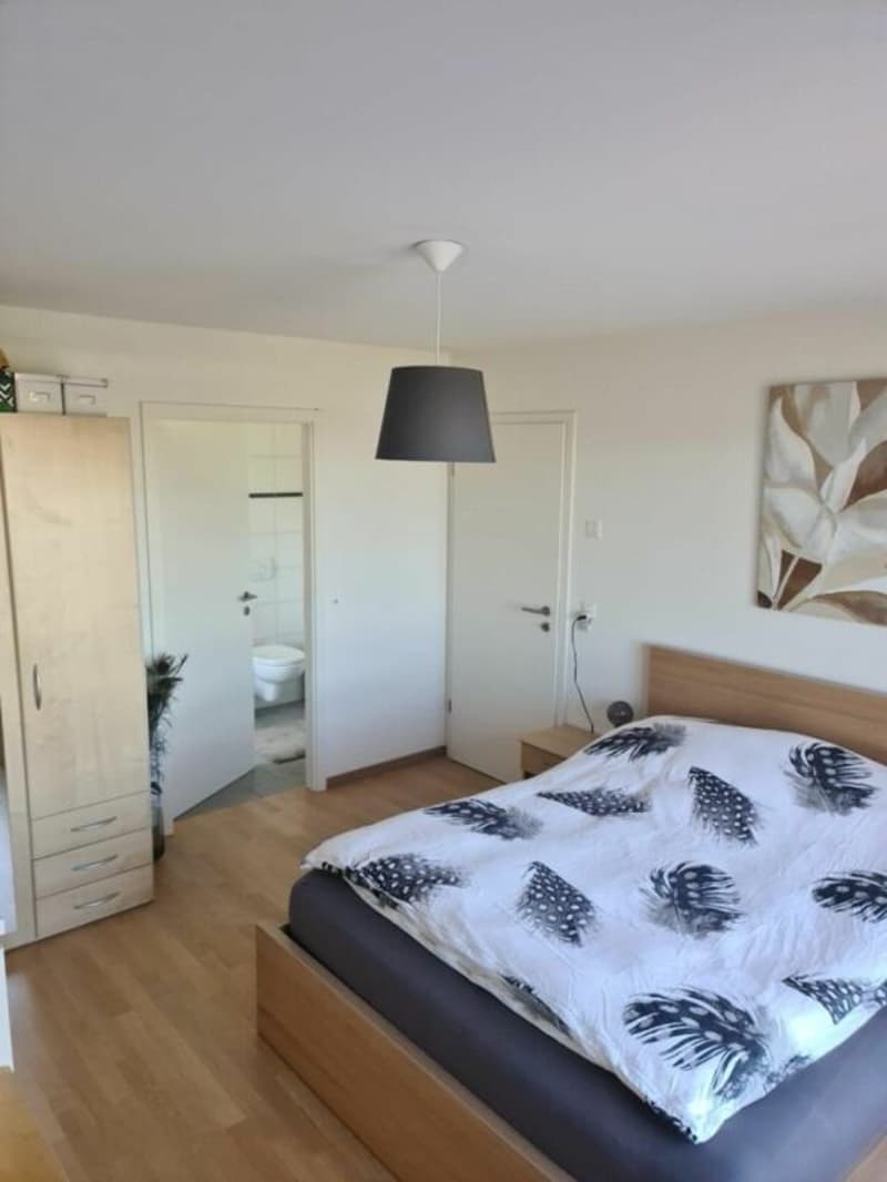 Magnifique 4.5 pièces moderne de 104 m2, avec balcon (5)