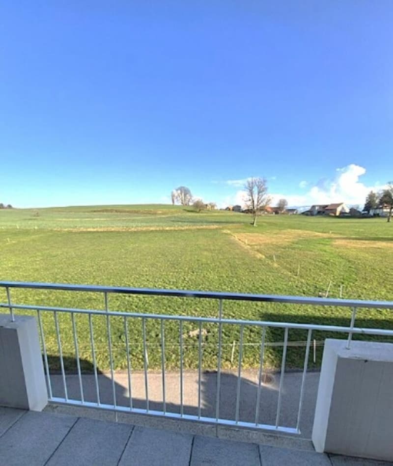 Magnifique 4.5 pièces moderne de 104 m2, avec balcon (3)