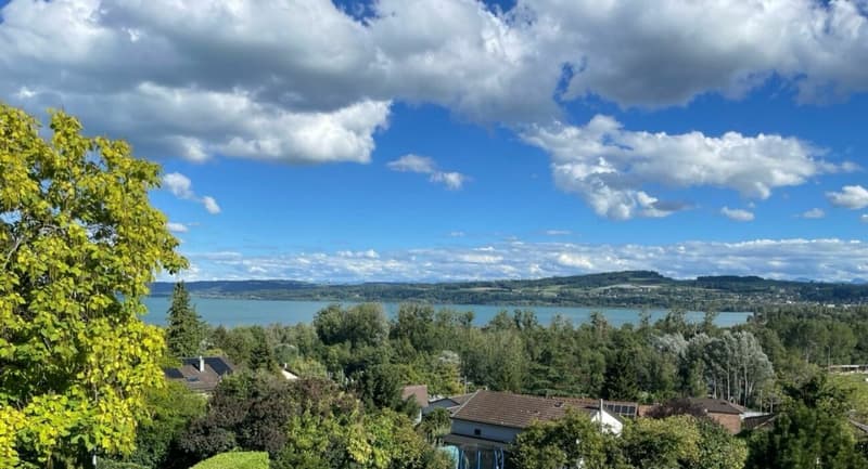 bel appartement avec magnifique vue sur le lac (5)