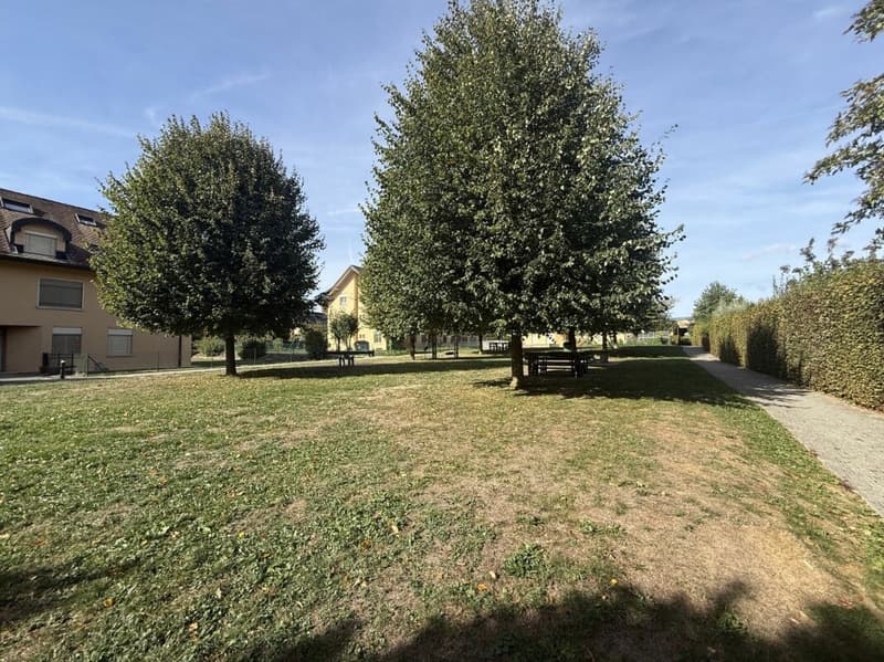 Appartement de 4,5 pièces plus grande galerie (2)