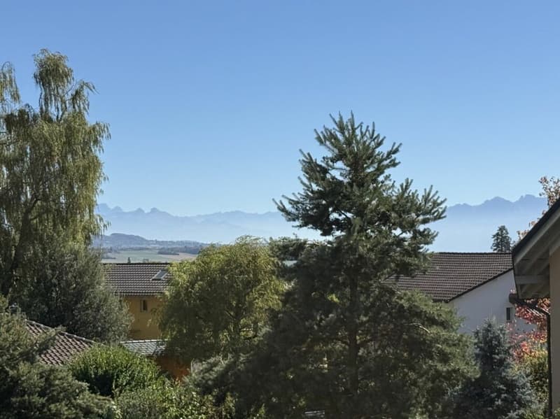 Appartement de 5,5 pièces avec très beau dégagement sur les alpes et le jura (1)