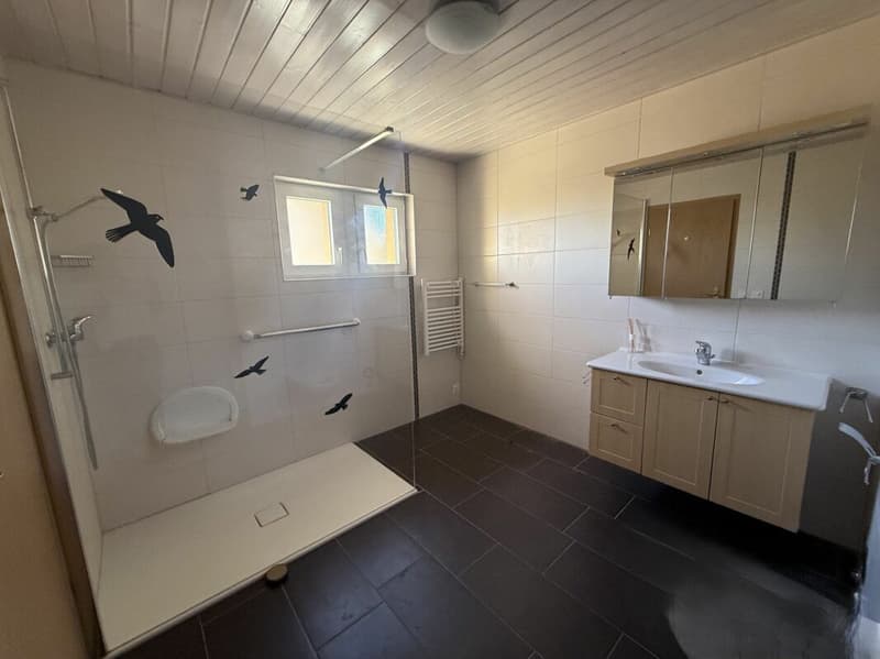 à 15 minutes de Morges, bel appartement avec très beau dégagement sur les alpes et le jura, 2 places de parc (12)
