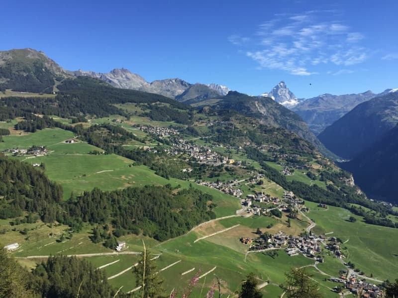 Vacanze in Valle d'Aosta: 3,5 locali con giardino e vista natura (13)