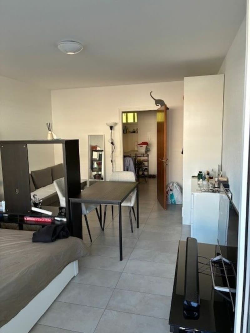 TENERO CENTRO - Affittasi appartamento di 1.5 locali (7)