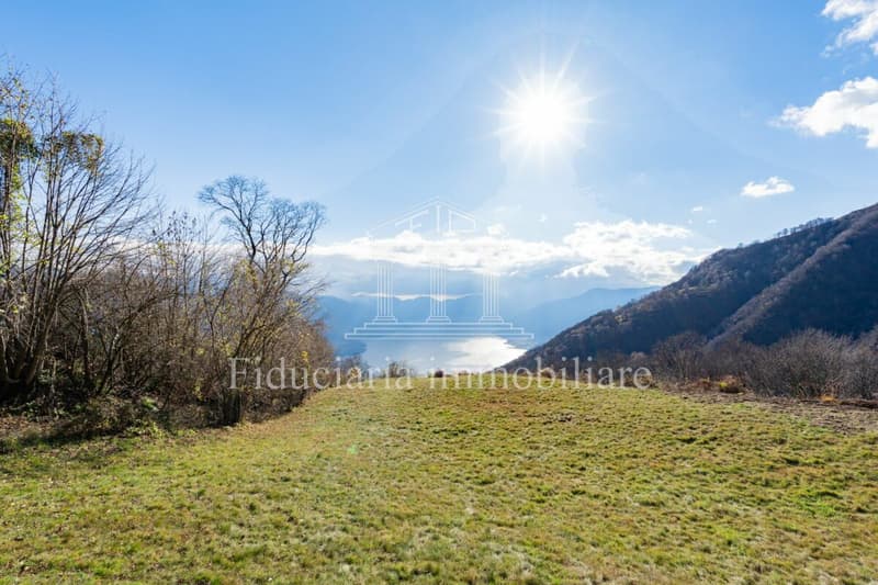 BRISSAGO - Charmantes 3.5-Zimmer-Rustico an sonniger Lage mit traumhafter Seesicht (13)