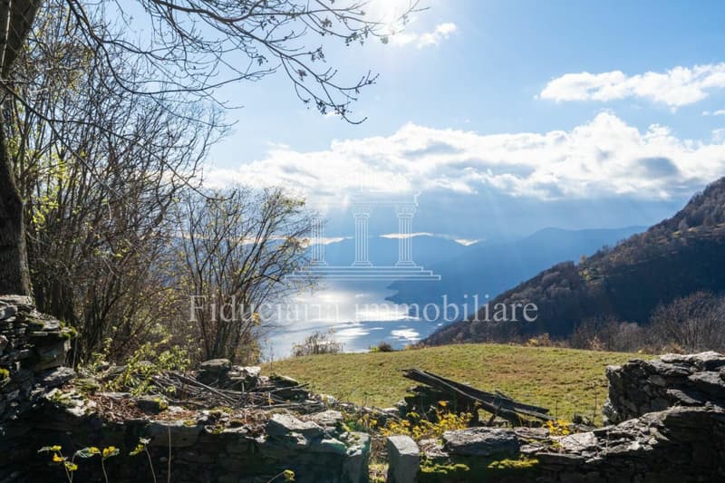 BRISSAGO - Charmantes 3.5-Zimmer-Rustico an sonniger Lage mit traumhafter Seesicht (2)