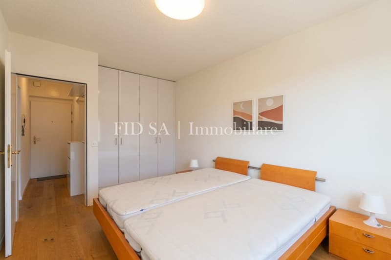 BRISSAGO - Appartamento di 2.5 locali con vista lago - a pochi passi dal lago (6)
