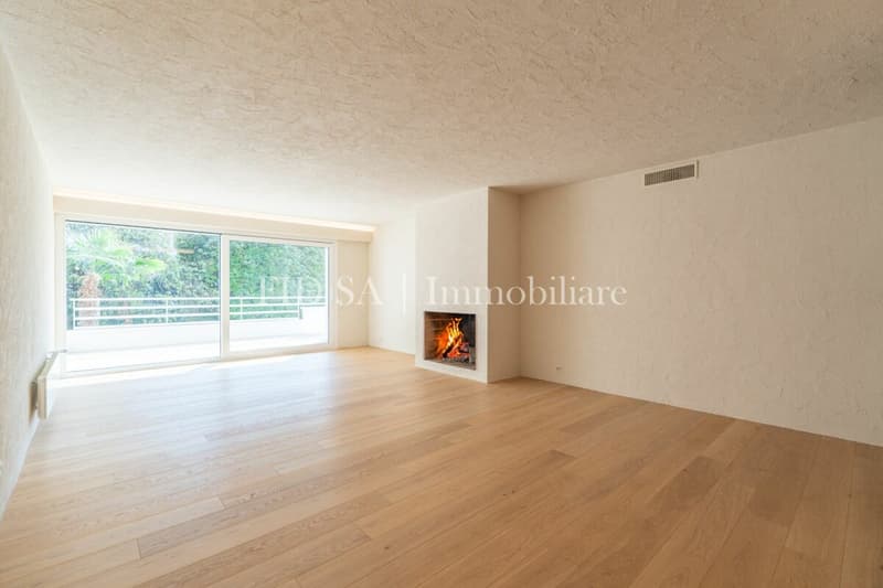 ASCONA - Appartamento completamente ristrutturato con ampia terrazza a sud (3)