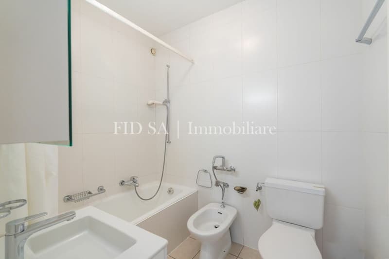 BRISSAGO - Appartamento al pianterreno con accesso privato al lago (8)