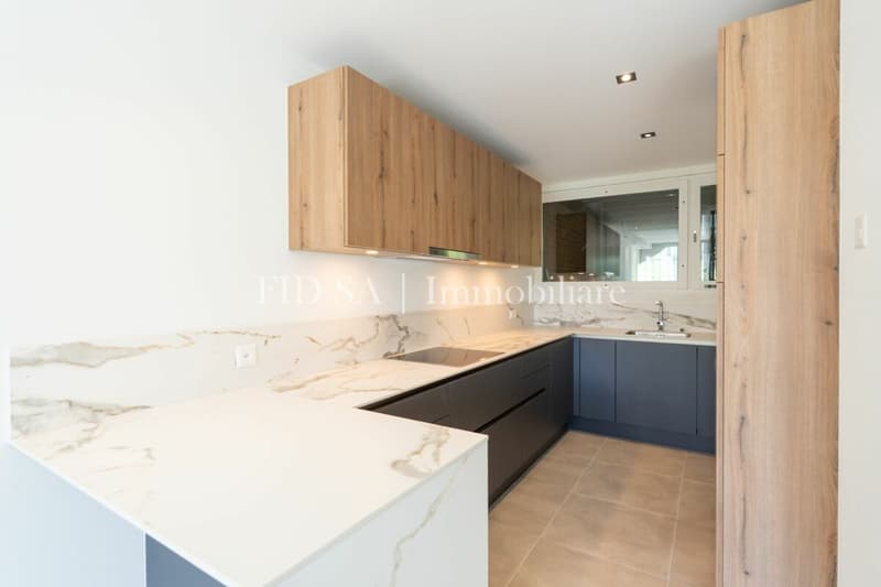 MINUSIO - Moderno appartamento duplex con vista nel verde (5)